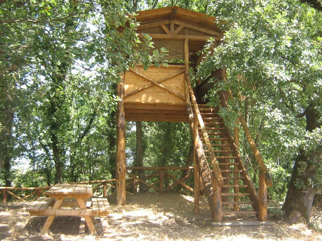 Agriturismo Le Baccane Vinci Kültér fotó
