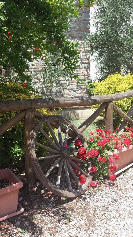 Agriturismo Le Baccane Vinci Kültér fotó